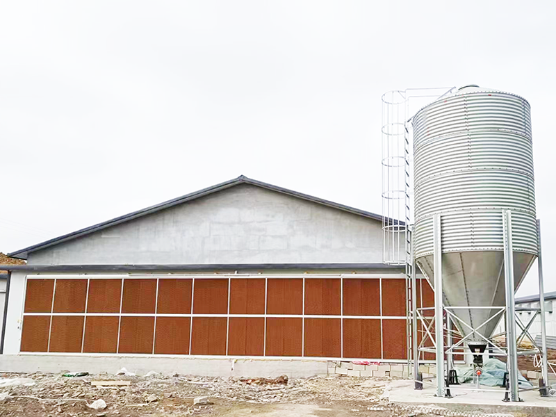 自動化蛋雞養(yǎng)殖棚三年期租賃權公開拍賣